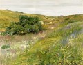 Landscape Shinnecock Hills impressionism William Merritt Chase